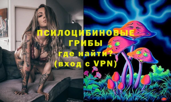 крисы Киреевск
